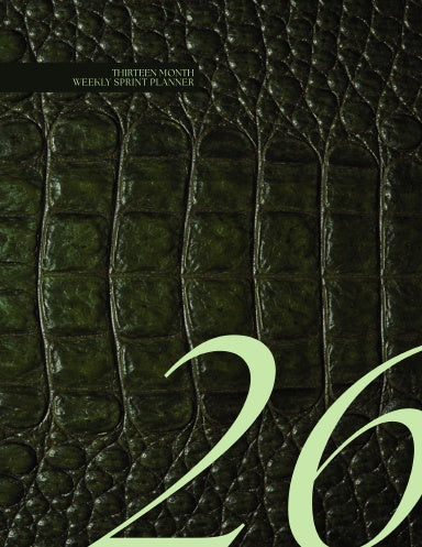 Book Cover Variant Thumbnail